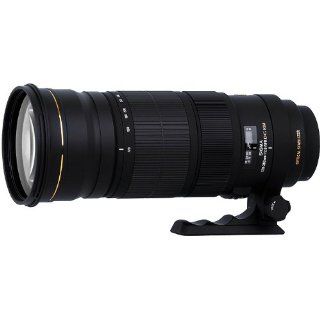 DG OS HSM Objektiv (105 mm Filtergewinde) für Nikon Objektivbajonett