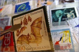 KG Karton Briefmarken in Alben mit viel Deutschland ab 1945