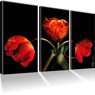 Tulpen Blumen Bild 3 Teilig Bilder Leinwand Wandbild Kunstdruck