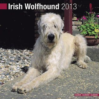 Metall   Warnschild Irish Wolfhound Küche & Haushalt