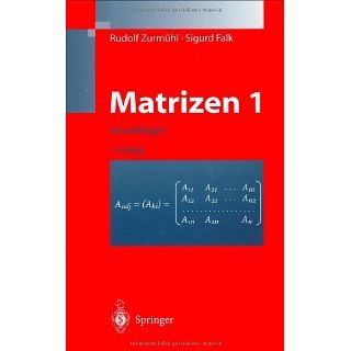 Matrizen und ihre Anwendungen 1: Grundlagen Für Ingenieure, Physiker