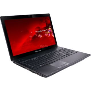 Notebook Packard Bell EasyNote TK85 384G50Mnkk NX.BZNEG.002 schwarz