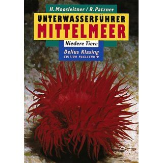 Unterwasserführer, Bd.4, Mittelmeer, Niedere Tiere Horst
