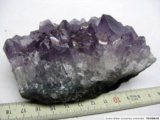Amethystdruse,Geode,Druse,Edelstein,Kristall, 0,4kg / 459/ Stk.