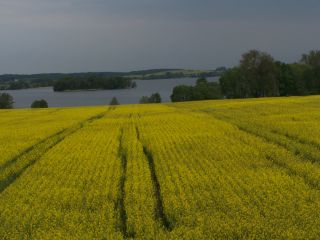 Urlaub an Mecklenburgische Seenplatte im Ferienhaus 4 Personen fü 300