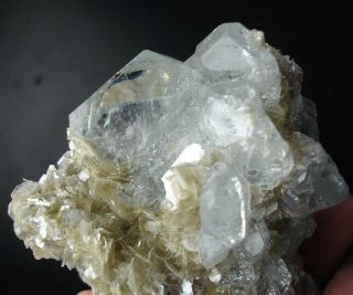 Fine Mineralien TOP Transparent Aquamarin,Muskovit ~ Xuebaoding