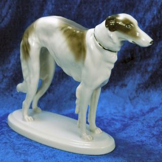 Windspiel Barsoi Turin 1900 1930   Porzellan Hund   Tier Windhund