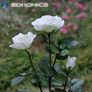 LED Solarleuchte Solarlampe Gartenlampe Dekor Rose Blume Kunststoff