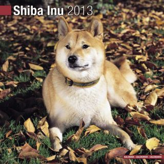 Kalender 2013 Shiba Inu