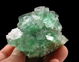 771 Fluorite green Okorusu Namibia