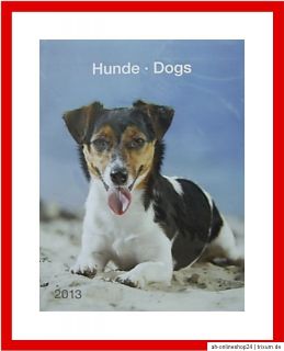 HUNDEKALENDER 2013 Wandkalender Kalender Hund Hunde Dog Tier