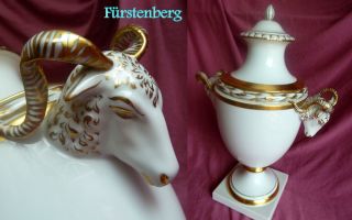 WBVP/ Fürstenberg Prunk Vase Deckelvase Widder Köpfe Golddekor 41 cm