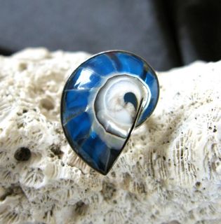 Muschel Ring Silber 925 Größe 19   59,5 Nautilus3 blau transparent