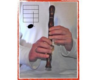 Flötenschule inkl. DVD + CD Blockflöte Notenheft Anfänger Kinder
