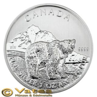 Kanada 5 CAD Wildlife 2011 Grizzly 1 Unze Oz Silber NEU