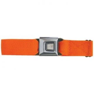 Ford Burst Seatbelt   Orange Web Belt Clothing
