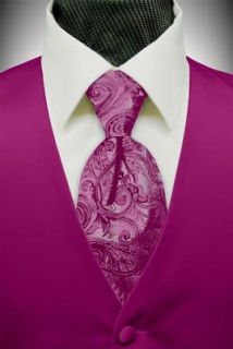 Satin Vest with Coordinating Tapestry Tie (34 38 small) Clothing