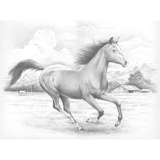 Sketching By Number Kit 11 1/2X15 1/2 Galloping Horse