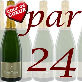 24 Bouteilles de Champagne Joly de Trebuis   Achat / Vente CHAMPAGNE