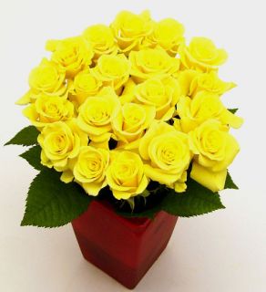 Yellow Sweetheart Roses (Case of 20)