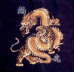 Chinese Dragon & Tiger Bandana Clothing
