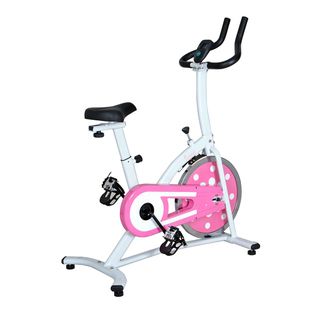 Sunny Pink Indoor Cycling Bike
