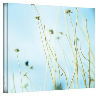 Mark Ross 30 Second Day Dream Wrapped Canvas Art