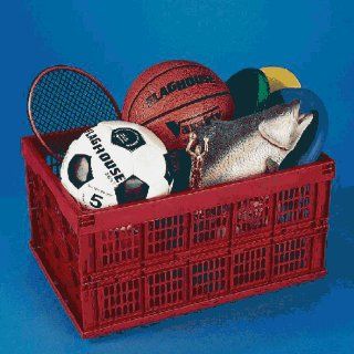 Storage Storage Containers Collapsible Storage Box: Sports