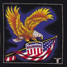 Easy Rider US Flag Eagle Bandana Clothing