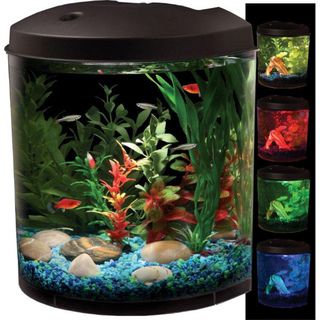 KollerCraft AquaView 180 View LED Light 3.5 Gallon Aquarium Kit