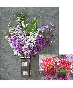 Flowers & Plants: Buy Plants, Fresh Flowers, & Potted