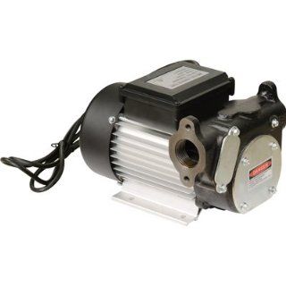 Cast Iron Diesel Fuel Transfer Pump   22 GPM, 120 Volt AC  