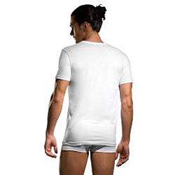 Papi 100 percent Cotton Short Sleeve Crew Neck T shirt (Pack of 3