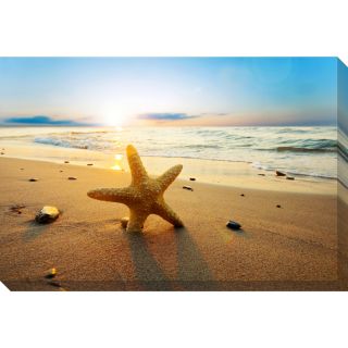 Beach Starfish Oversized Gallery Wrapped Canvas