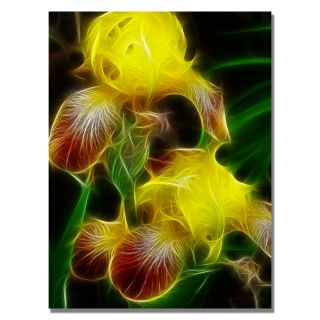 Kathie McCurdy Yellow Iris Canvas Art Today: $54.99   $124.99