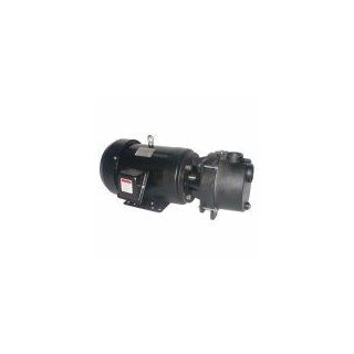 Dayton 5RWH5 Pump, Sprinkler, 7 1/2 HP, 3 Ph Industrial