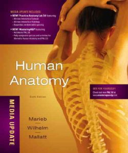 Human Anatomy / A Brief Atlas of the Human Body / Practice Anatomy Lab