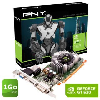 PNY GT620 1Go DDR3   Achat / Vente CARTE GRAPHIQUE PNY GT620 1Go DDR3