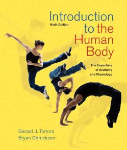 Introduction to the Human Body The Essentials of Anatomy and