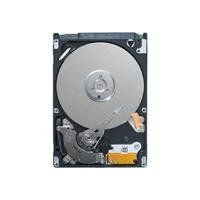 Seagate Momentus SpinPoint ST1000LM024   hard Computers