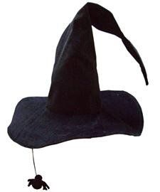 Witch Hat with Spider Clothing