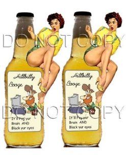 Hillbilly Booze Pin up Decals #228 Musical Instruments
