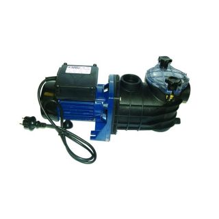 AQUALUX pompe de filtration 1/4CV 180W   Achat / Vente POMPE
