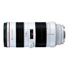 Canon EF 70 200mm f/2.8L USM Telephoto Zoom Lens See Price in Cart